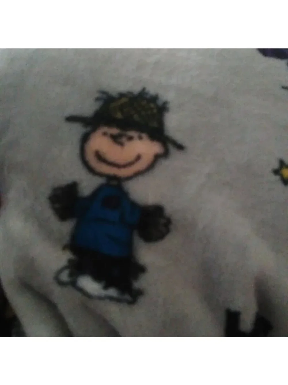 Berkshire Peanuts Halloween Lucy Charlie Brown Woodstock Plush Throw